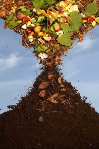Biodynamic gardening and farming